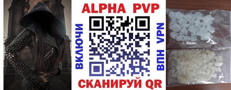 kraken tor  Оса  A PVP СК 