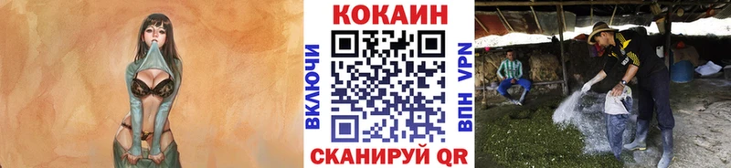 Кокаин 99% Оса