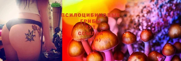 амф Белоозёрский